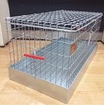 1羽用キャリー 大型種用