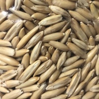 殻付えん麦
