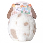 どんぐり
