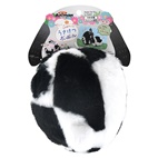 どんぐり