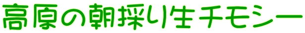 高原の朝採り生チモシー